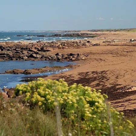 Vacanceole - Les Jardins De L'amiraute Lejlighedshotel Les Sables-dʼOlonne