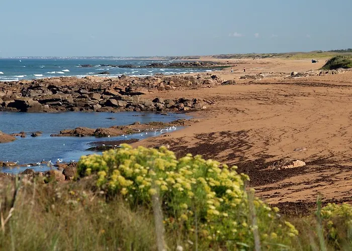 Vacanceole - Les Jardins De L'amiraute Apart-hotel Les Sables-dʼOlonne